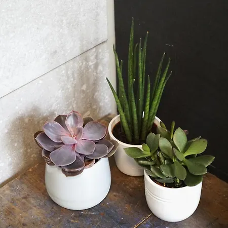 't Onderhuis In Lejlighed *