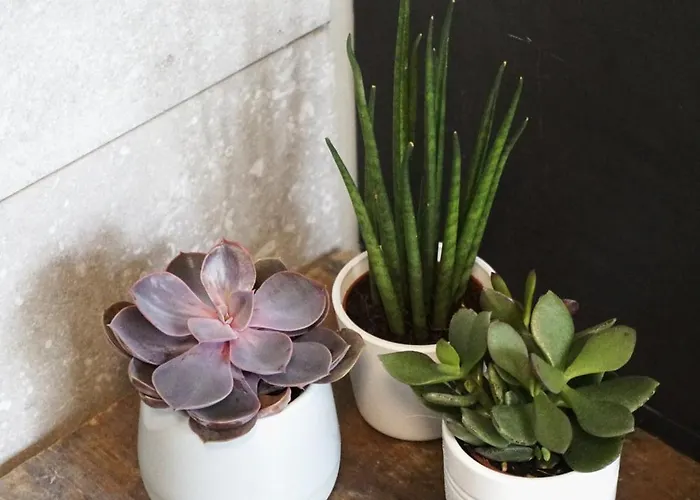 't Onderhuis In Апартаменты *